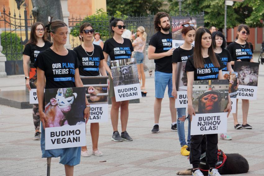 Obeležavanje Međunarodnog dana prava životinja NARD sa novosadskim aktivistima/kinjama, 2022; autor fotografije: Srđan Mihić
